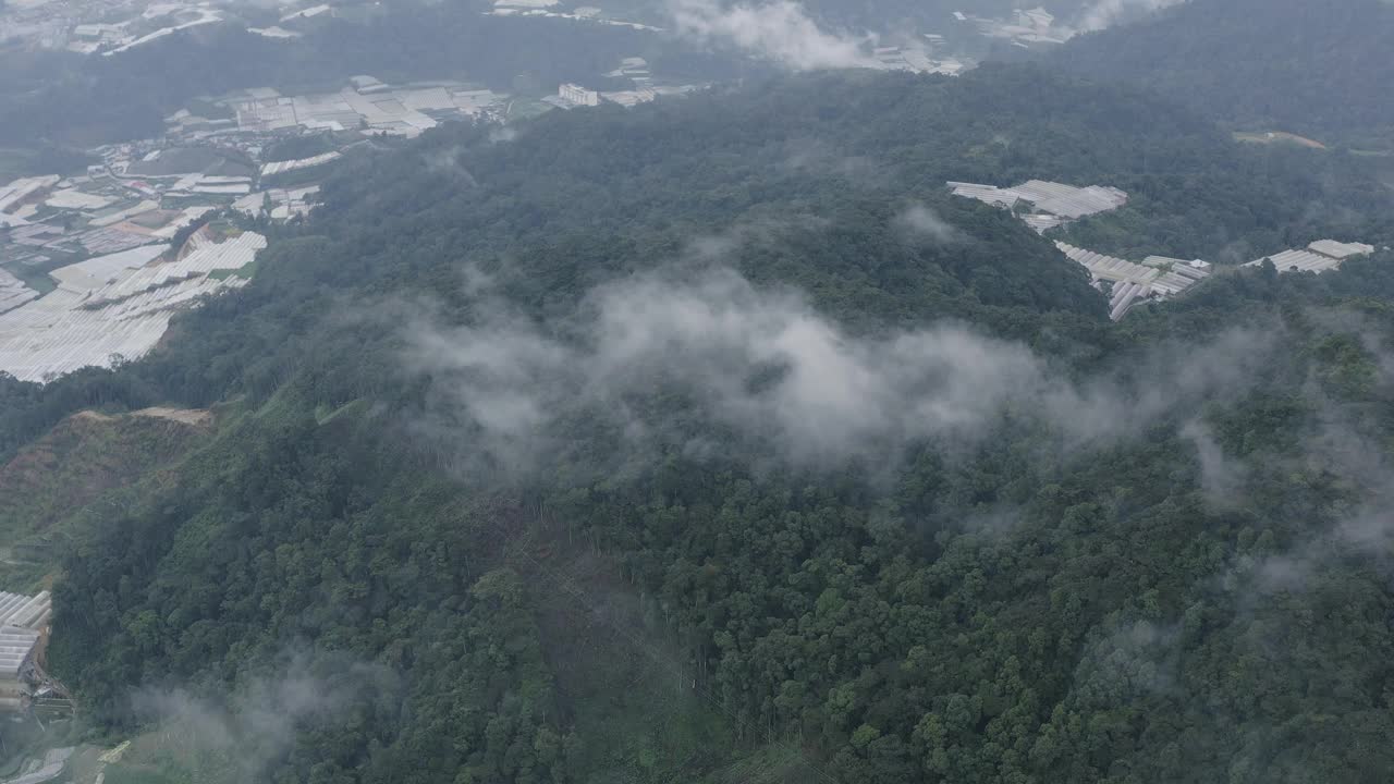 鸟瞰图:马来西亚，高山中覆盖着薄雾的雨林视频下载