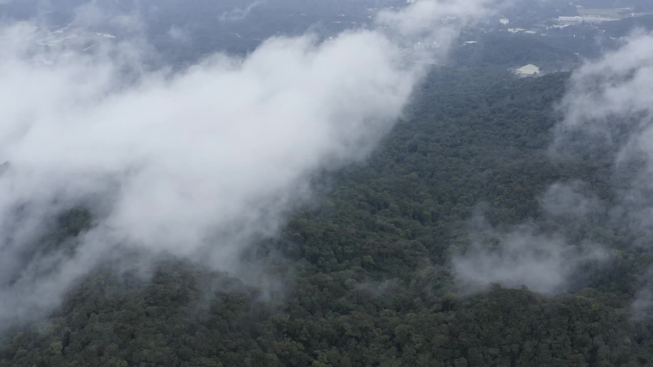 密密麻麻的热带雨林覆盖着薄雾，慢镜头鸟瞰，马来西亚视频素材