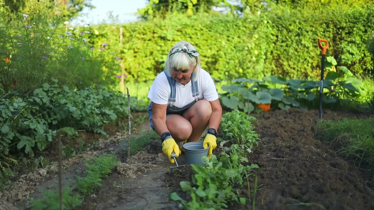 近景，一只女性的手正在清除杂草。50多岁的女人在卸手。春季园林草坪养护与除草背景。收割。高质量的全高清镜头视频素材