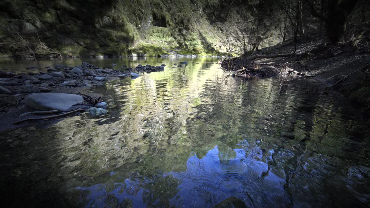 新鲜的清澈的水在原始森林河，俄勒冈州在斯洛莫视频素材