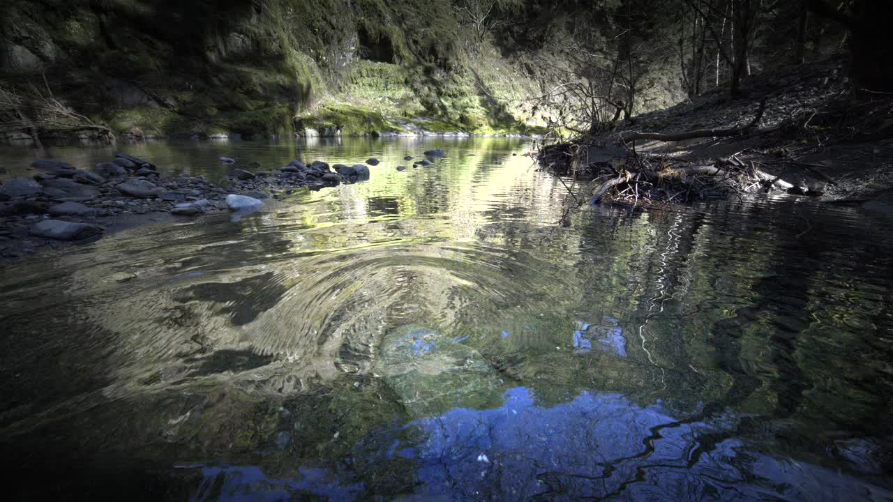 新鲜的清澈的水在原始森林河，俄勒冈州在斯洛莫视频素材