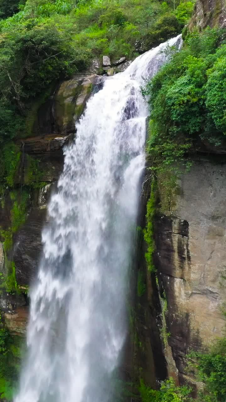 热带瀑布在山区丛林。斯里兰卡。视频素材