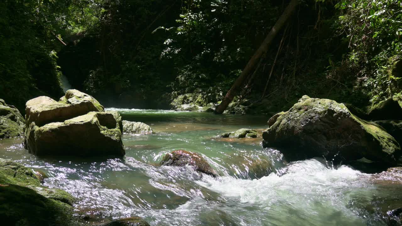 夏天，雨水从雨林里长满苔藓的岩石上流过。森林公园阳光下绿植环绕的小溪宁静景象。视频素材