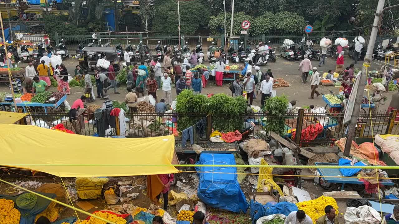 在班加罗尔的KR市场上，人们、花商和鲜花的独家罕见的日间照片视频下载