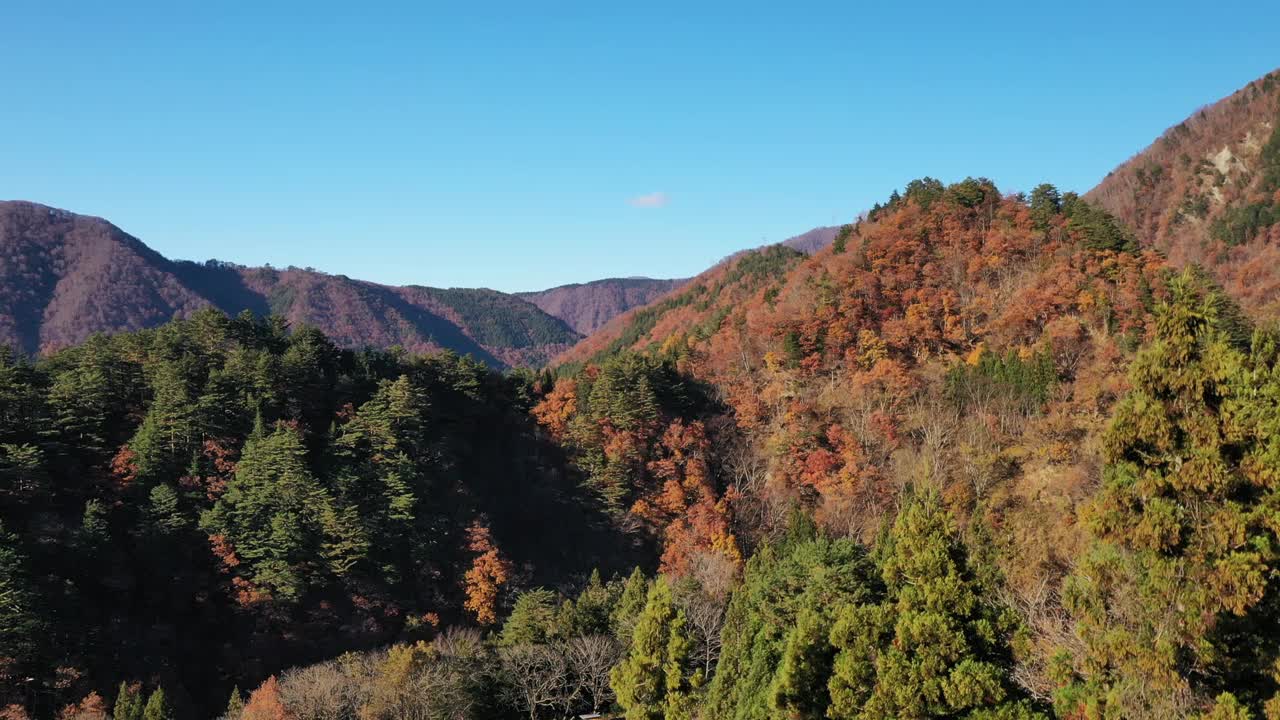 日本白川古村的秋天视频素材