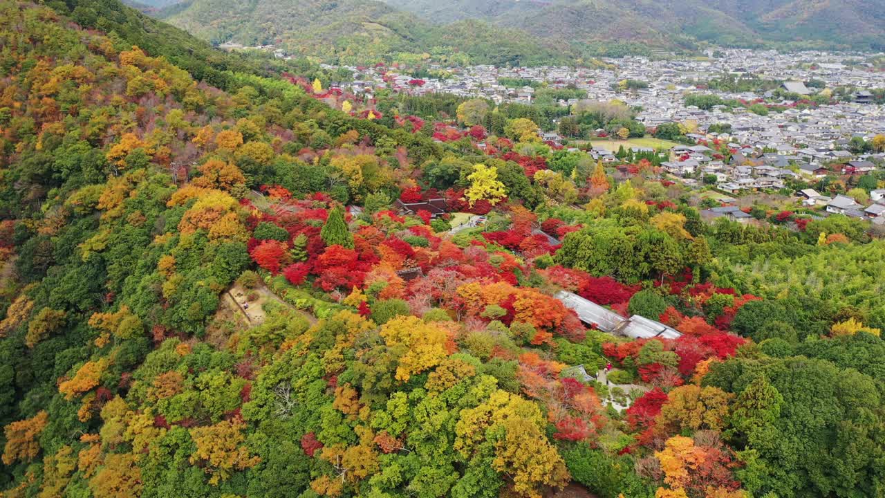 秋天宁静的日本岚山视频素材