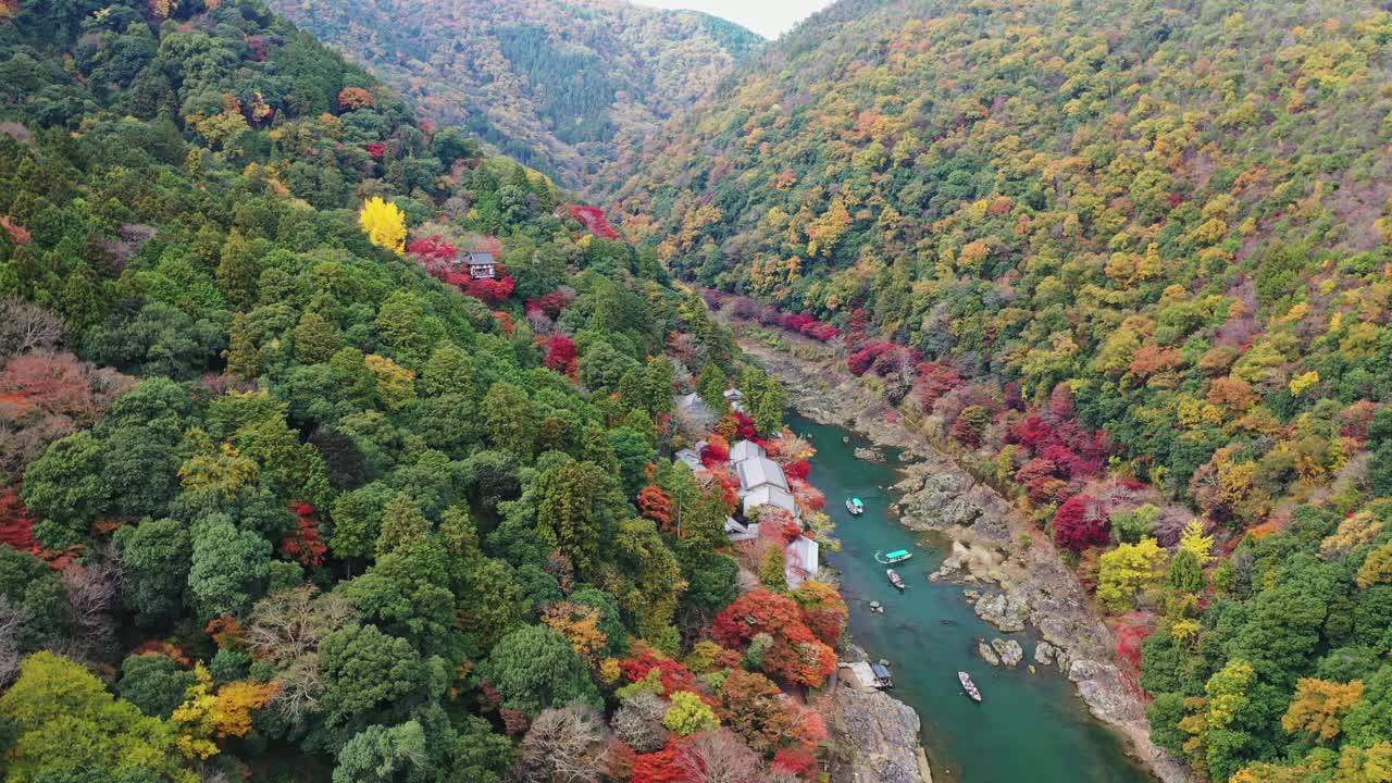 岚山的日本秋之美视频下载