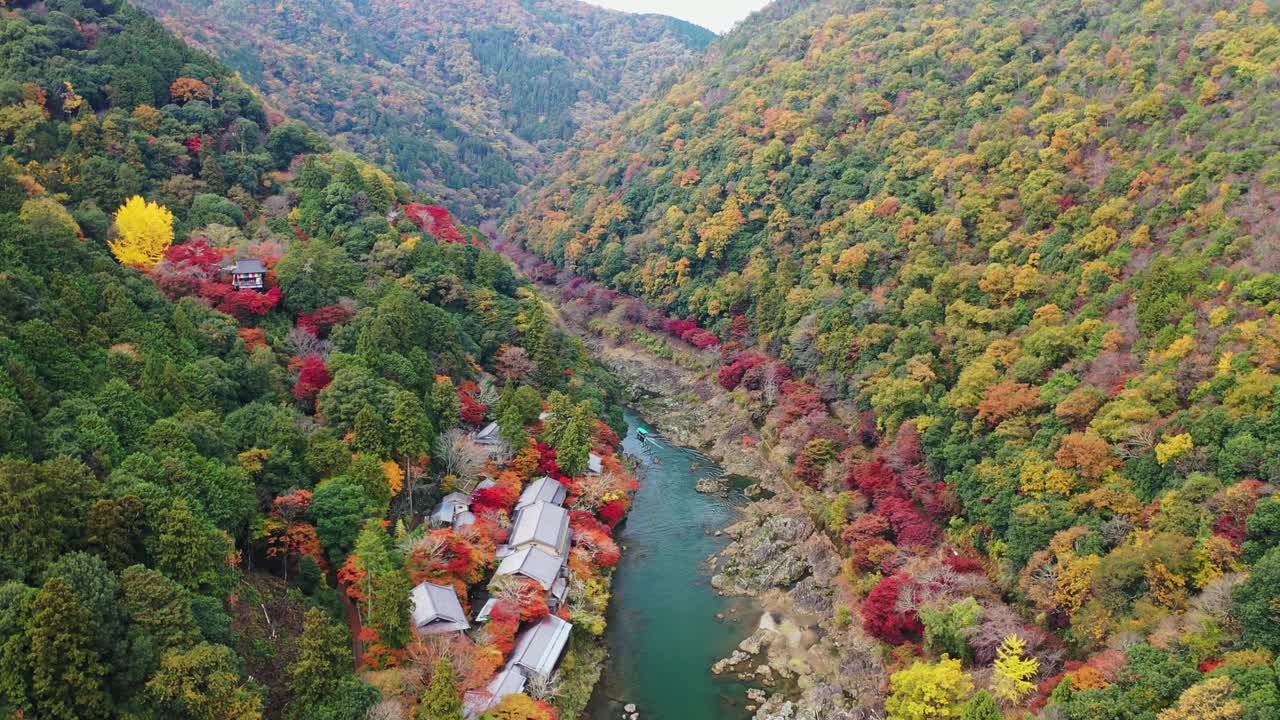 日本的岚山，秋日灿烂视频素材