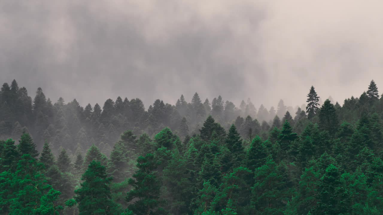 恶劣天气下雾和云在森林中的时间流逝视频素材