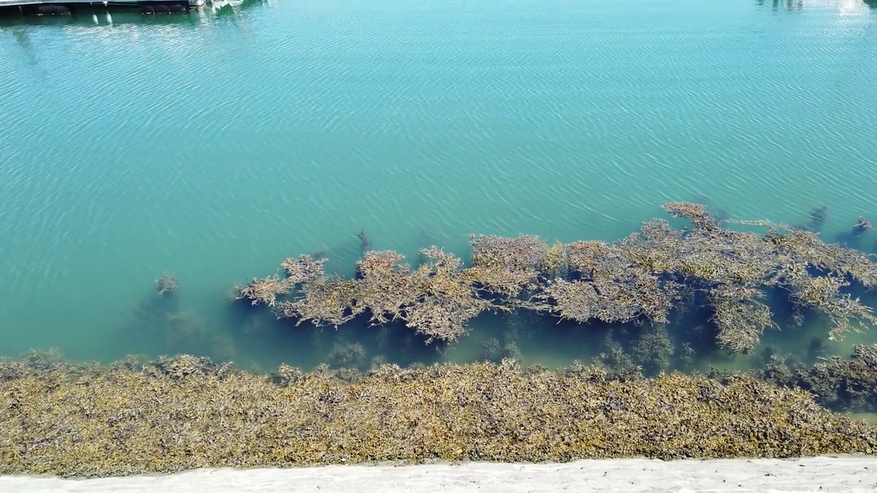 从浮筒上俯瞰滨海特里尼特港视频素材