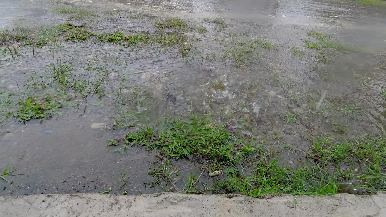 雨水溅到草地和土壤上。雨天和极端天气视频下载