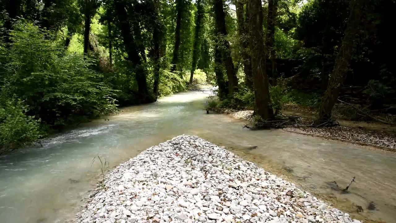 两条河汇成一条河，灌木丛视频下载