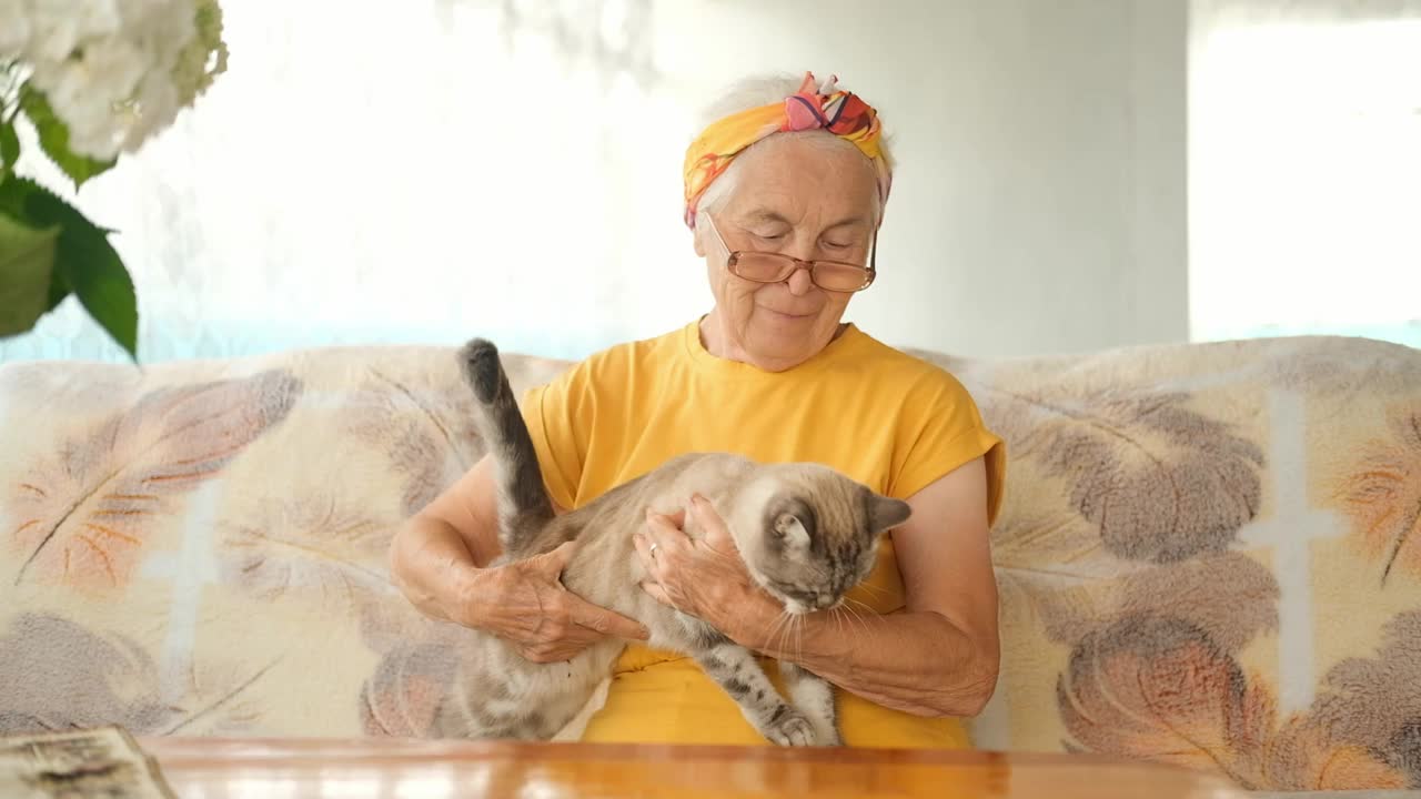 一位老妇人在室内抚摸着一只猫。一个领养老金的人带着宠物在沙发上休息。视频下载