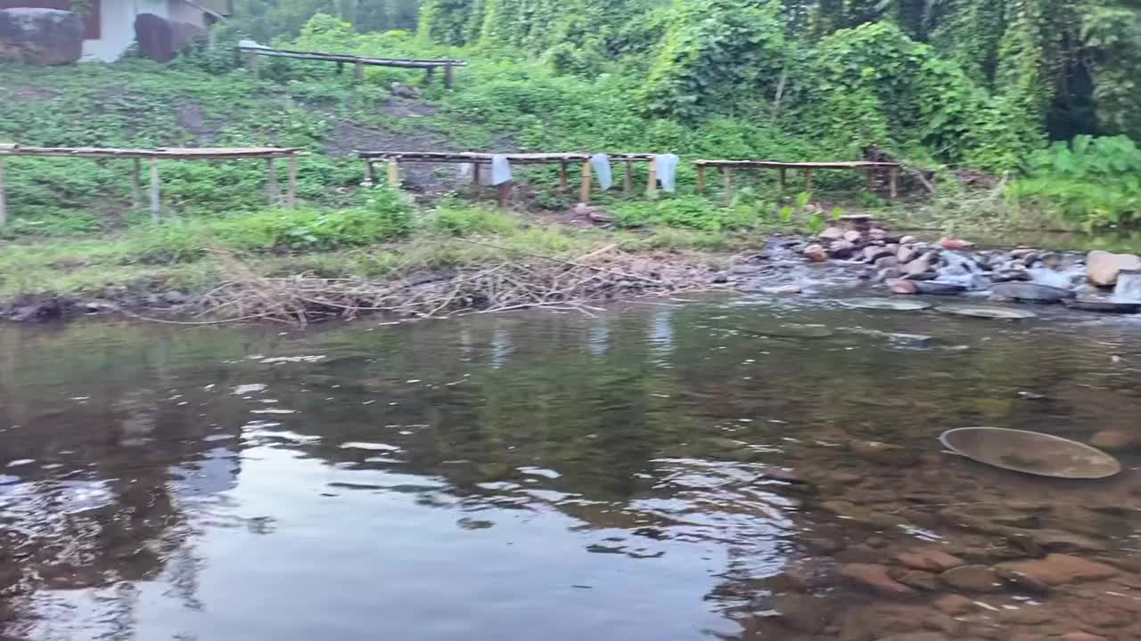 山上有一条小河视频素材