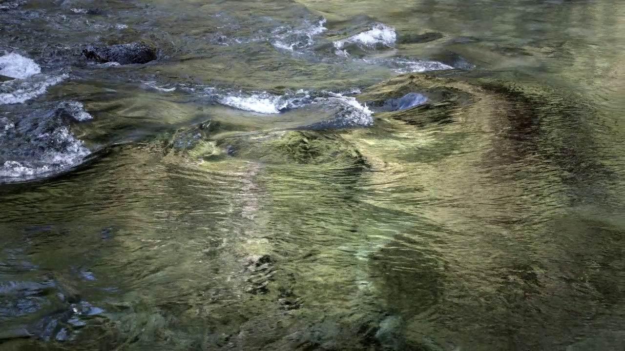 在原始森林河新鲜清澈的水视频素材