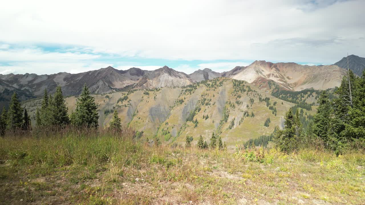 秋天，科罗拉多州克雷斯特德比特的松树和麋鹿山脉的空中倾斜视频素材