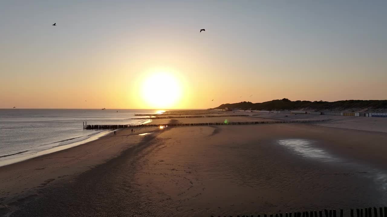 在明亮的夕阳下，海鸟在美丽而宁静的海滩上飞翔视频素材