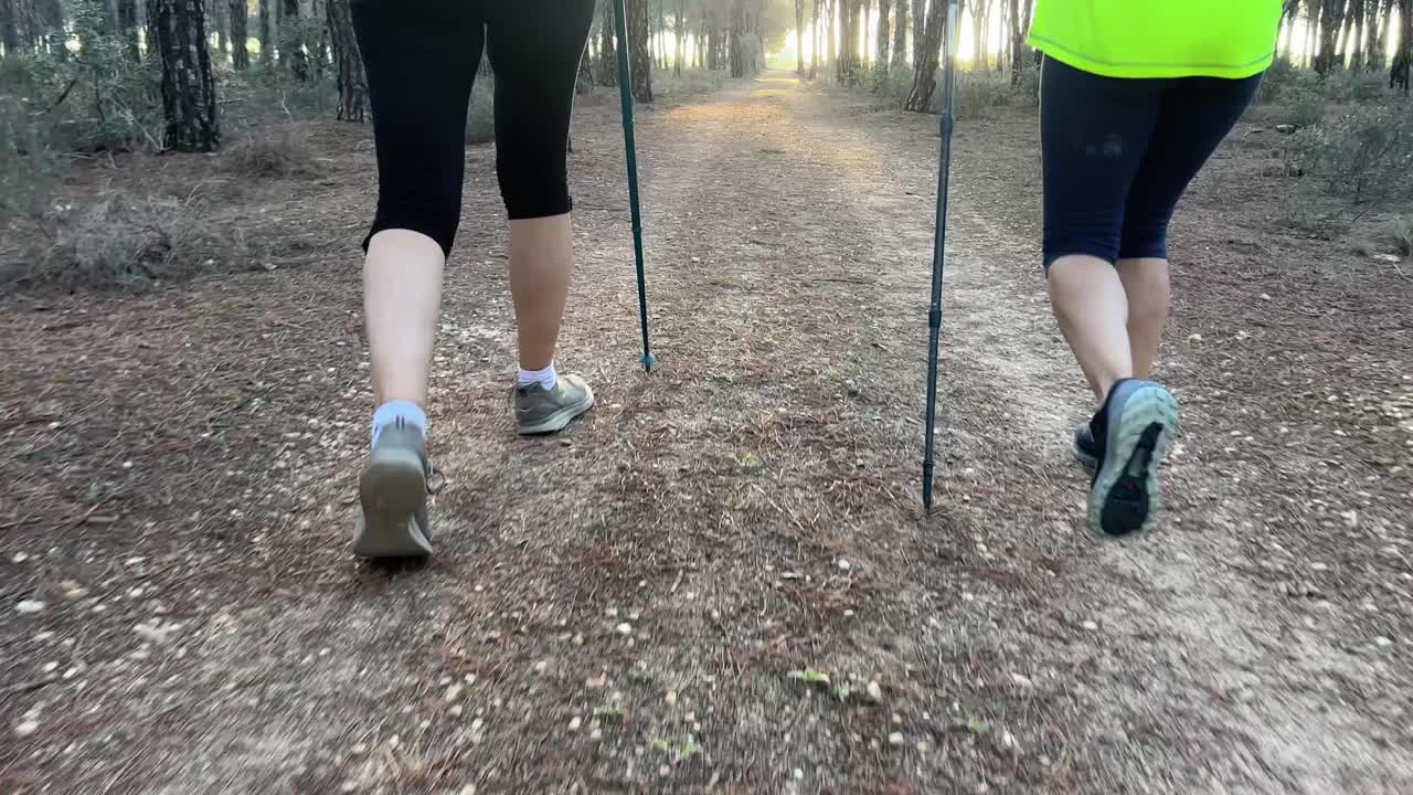 两个女人快速穿过森林的背影。视频下载