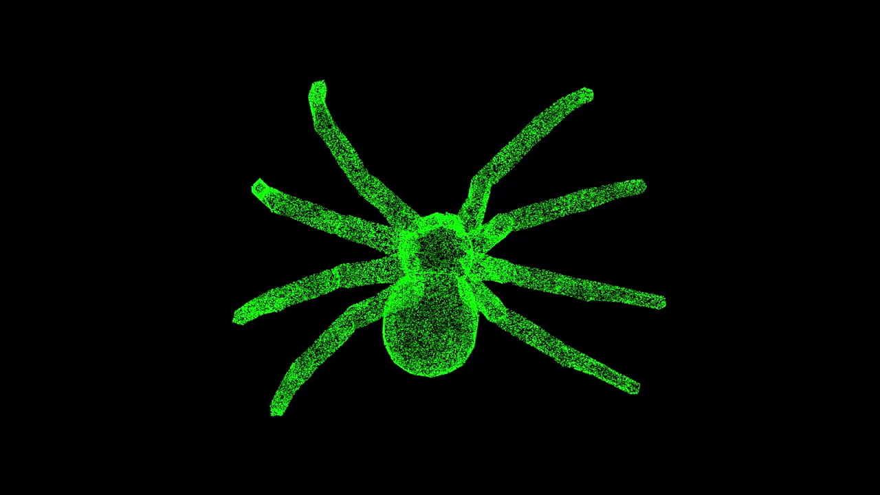 3D狼蛛在黑色背景上旋转。昆虫与自然的概念。危险的蜘蛛。商业广告背景。用于标题，文本，演示。3d动画60 FPS。视频素材