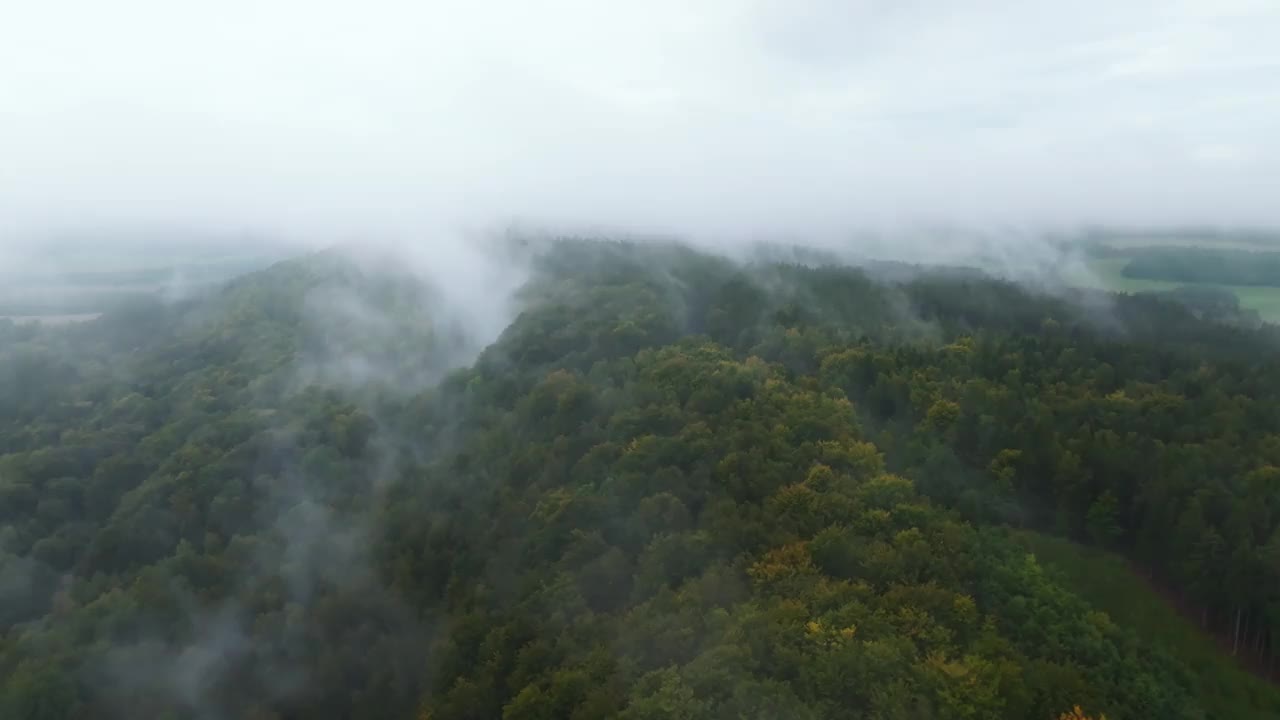 鸟瞰笼罩在雾中的森林丘陵景观。在一个凉爽的秋天早晨，落叶树为地球提供氧气，并为生态系统中的动物提供庇护所视频素材