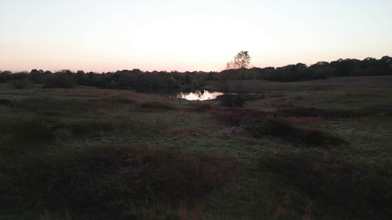 夕阳下，无人机在绿色起伏的山丘和小湖上拍摄，背景是茂密的树林视频素材