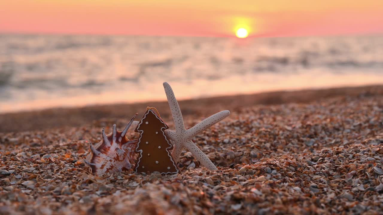 海边的圣诞树贝壳和海星。圣诞夜在海滩上。有选择性的重点。圣诞贺卡视频下载