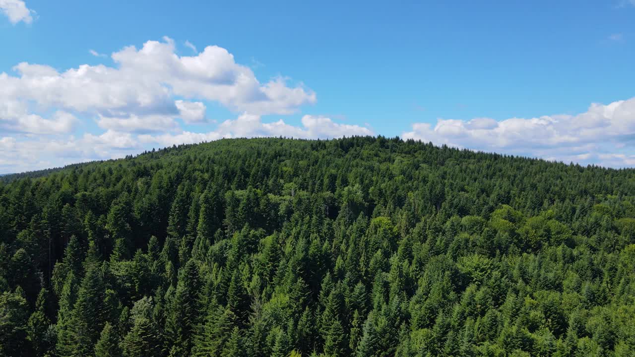 巴伐利亚森林山脉鸟瞰图空中飞行茂密的落叶针叶树视频素材