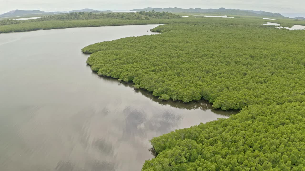 鸟瞰满是红树林的沿海水道。视频素材