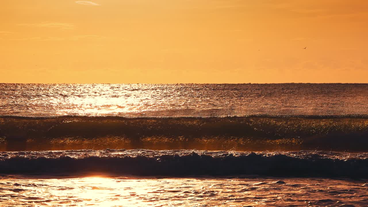 热带金色的日出在海浪，海洋地平线视频的早晨视图视频素材