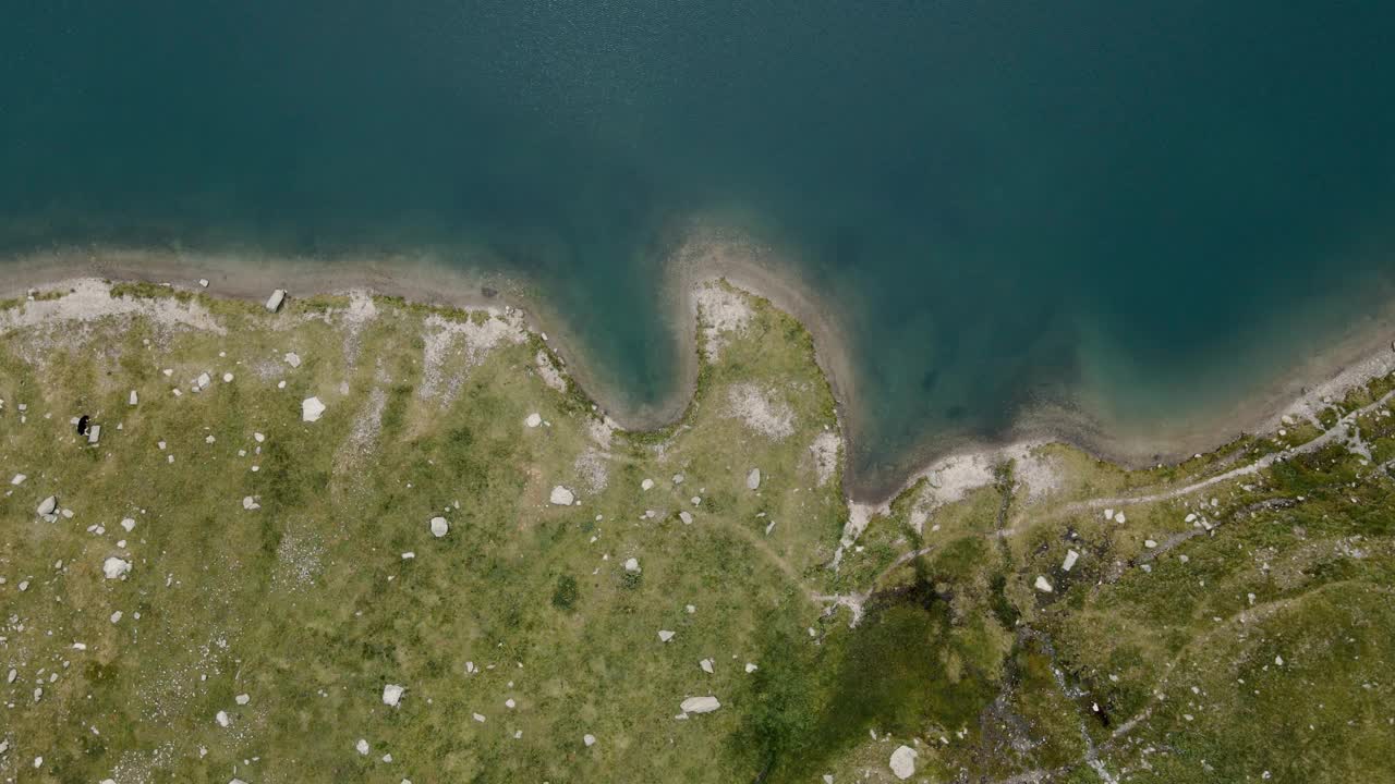 空中无人机拍摄的一个蓝色的高山湖泊，有岩石海岸和在草地上吃草的牛视频素材