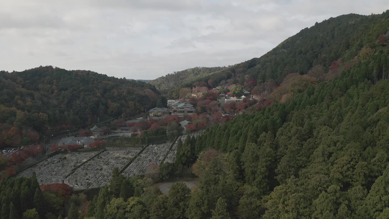 秋天大阪松林的宁静视频下载