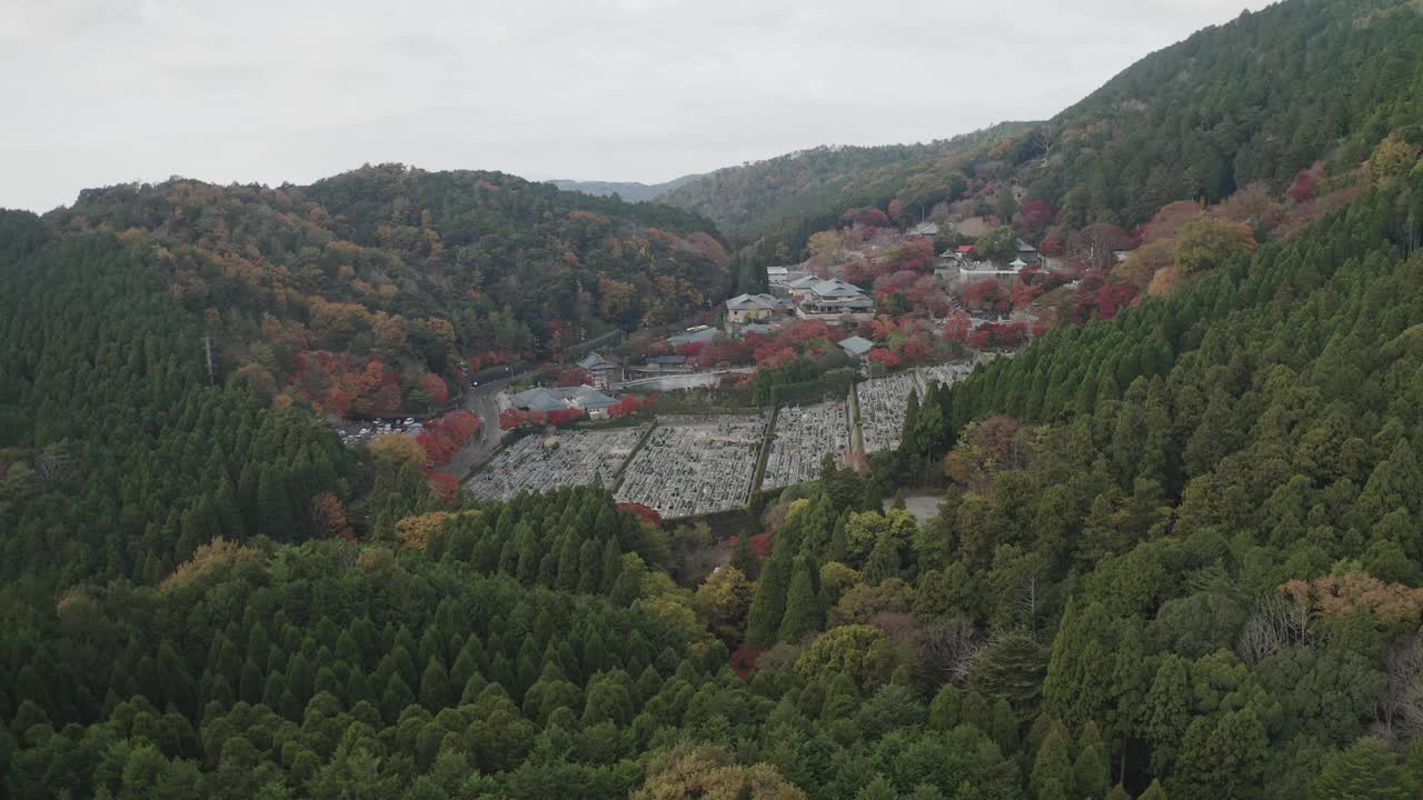 松树密布的日本大阪视频下载