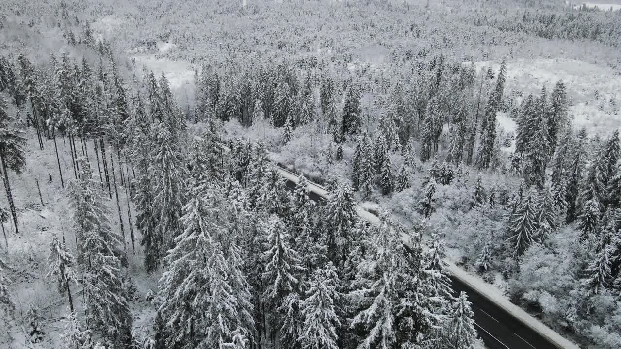 在芬兰的雪林中，汽车正行驶在被雪覆盖的道路上视频素材