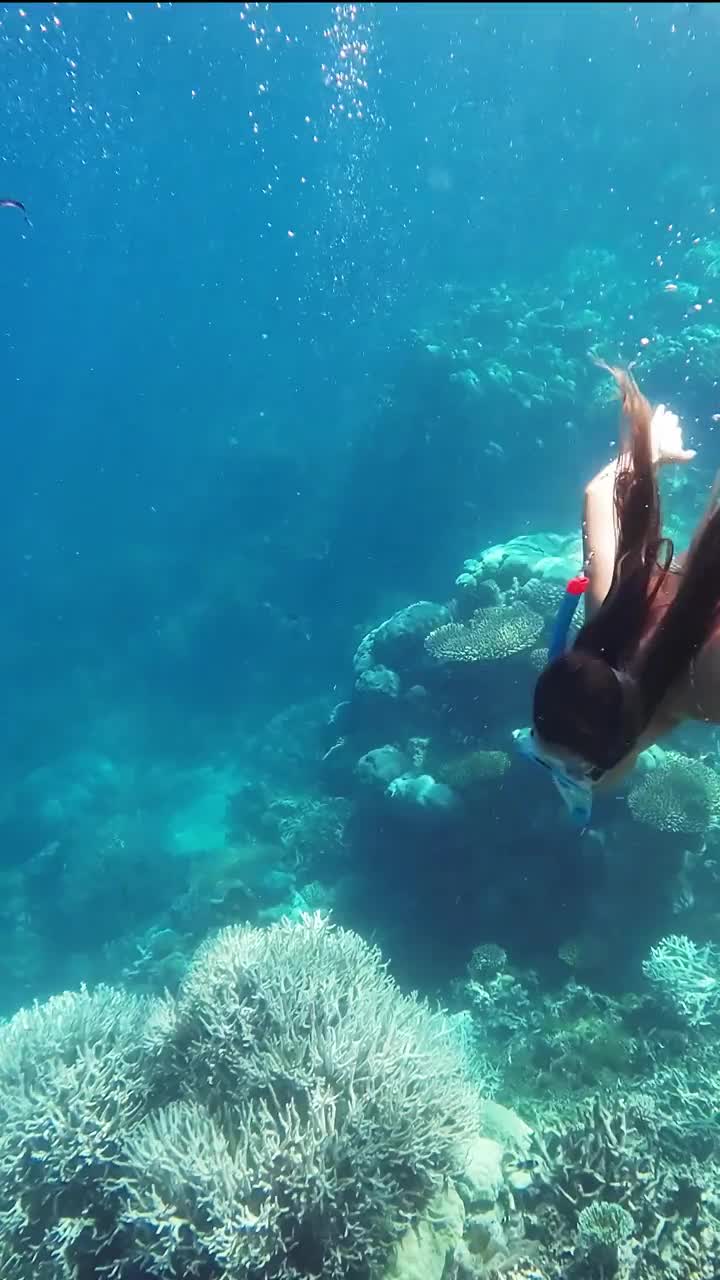 自由潜水员在蓝色的海洋里游泳视频素材