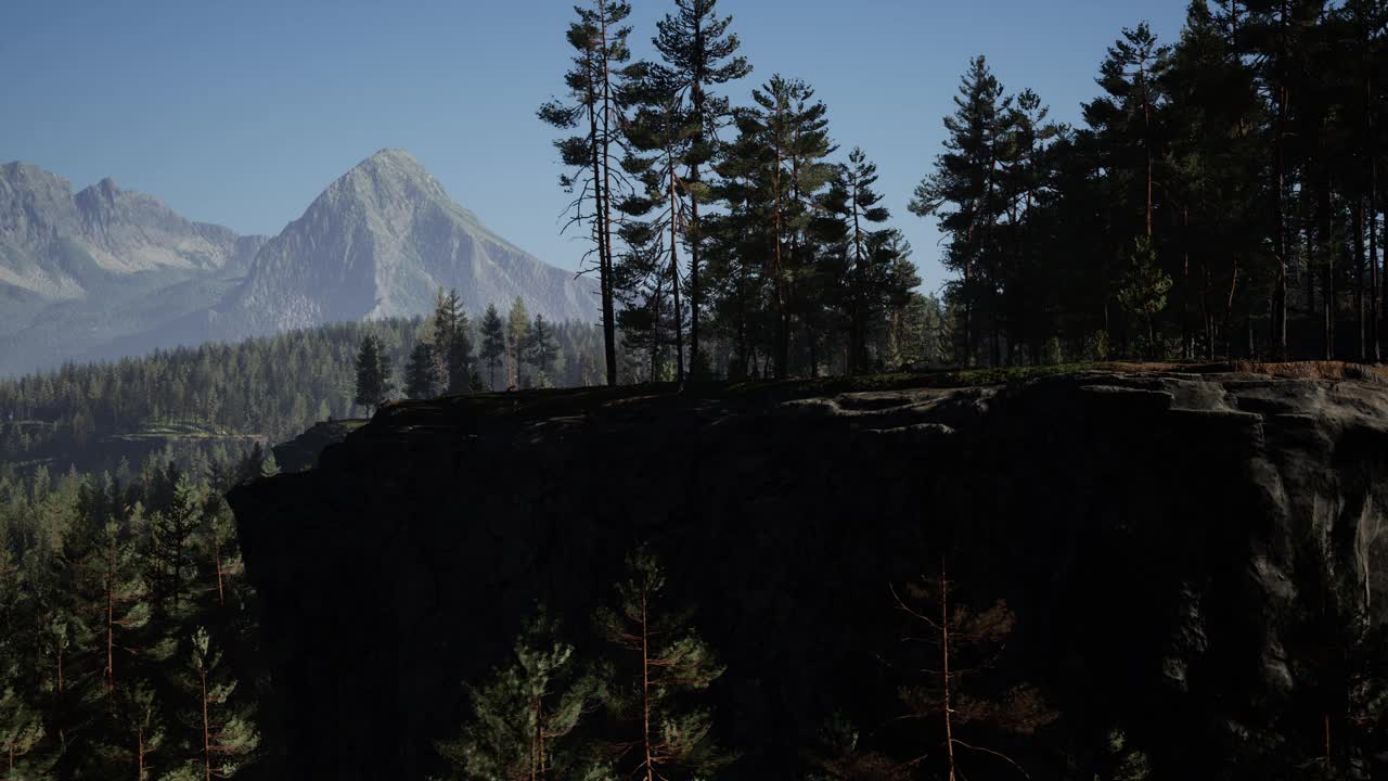 山间雾蒙蒙，有冷杉林景观视频素材