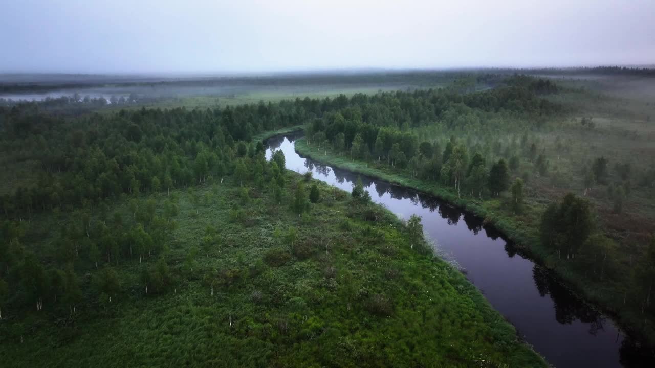 在斯堪的纳维亚的森林里，阴郁的早晨，沿着一条雾蒙蒙的河流鸟瞰图视频素材