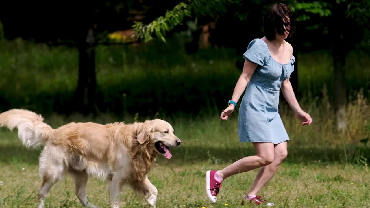 金毛猎犬和在户外奔跑的年轻女子视频素材