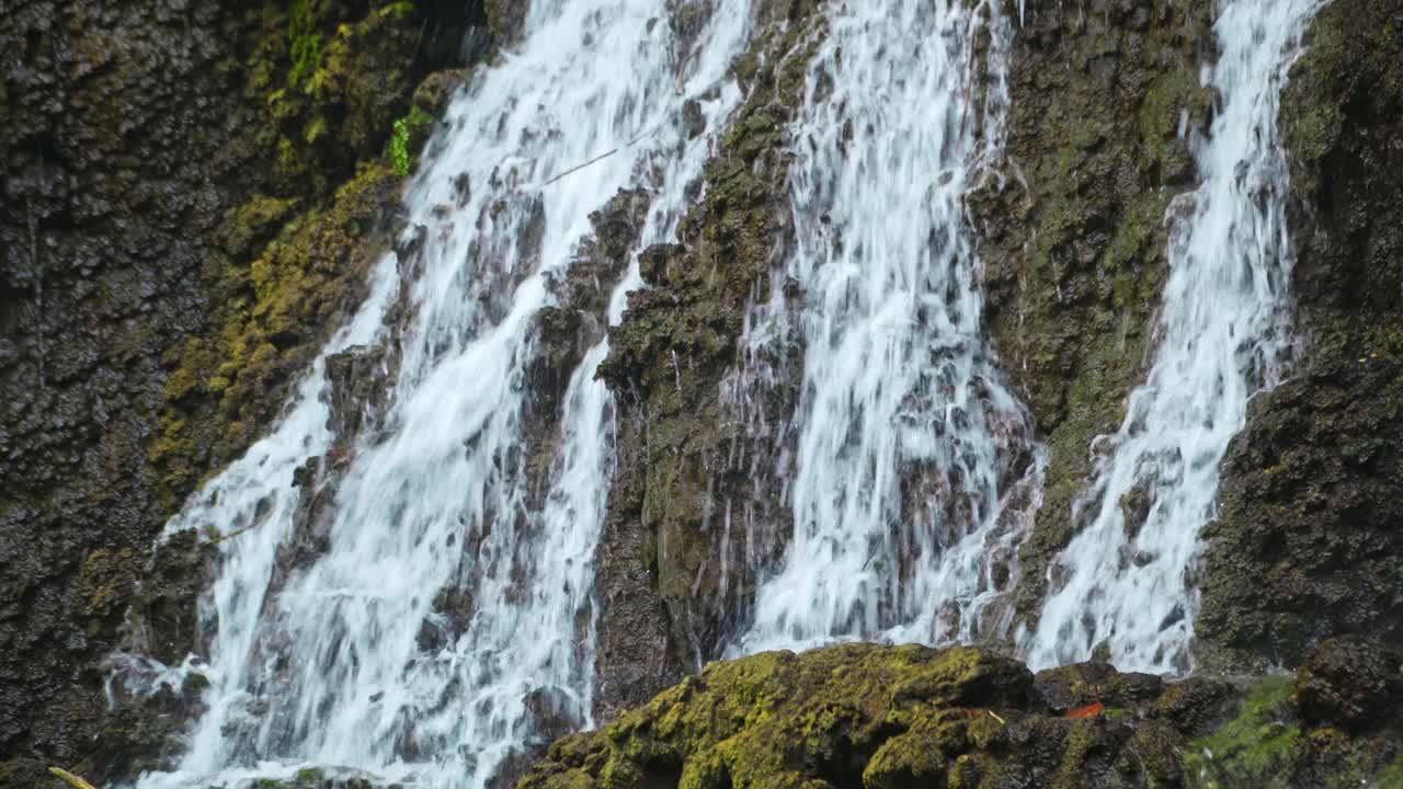 在印度尼西亚的热带丛林峡谷。目前山上清澈见底的水覆着绿油油的热带雨林。视频素材