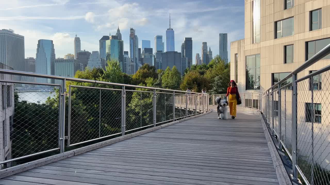 纽约，布鲁克林大桥公园，一名妇女带着她的牧羊犬散步视频素材