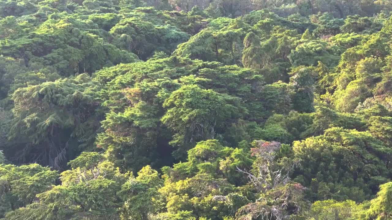 辛特拉的自然景观视频素材