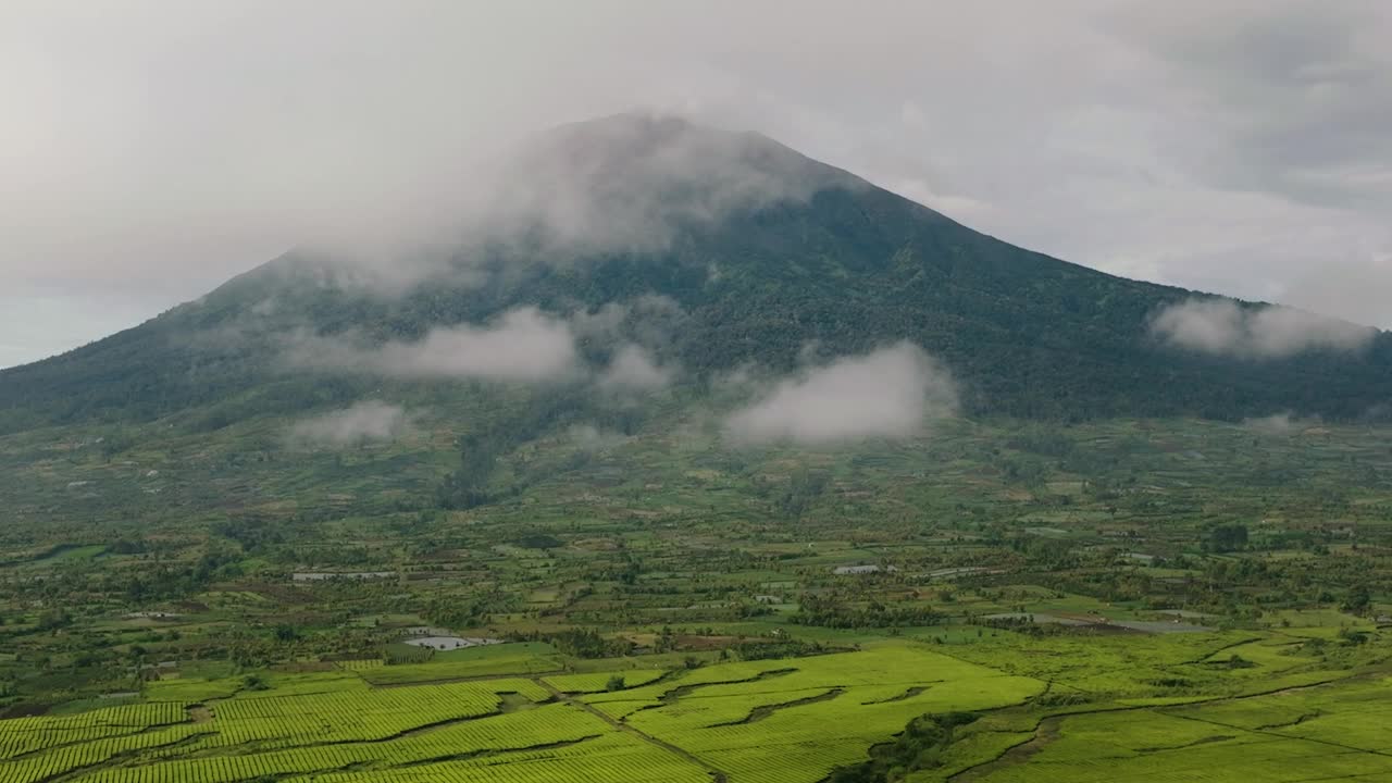 茶园Kayu Aro和Mount Kerinci。印度尼西亚苏门答腊。视频素材