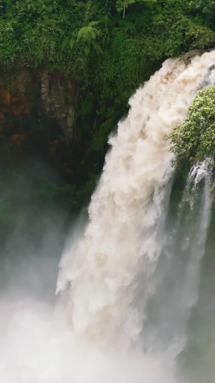 雨林中的瀑布。印度尼西亚苏门答腊。视频素材