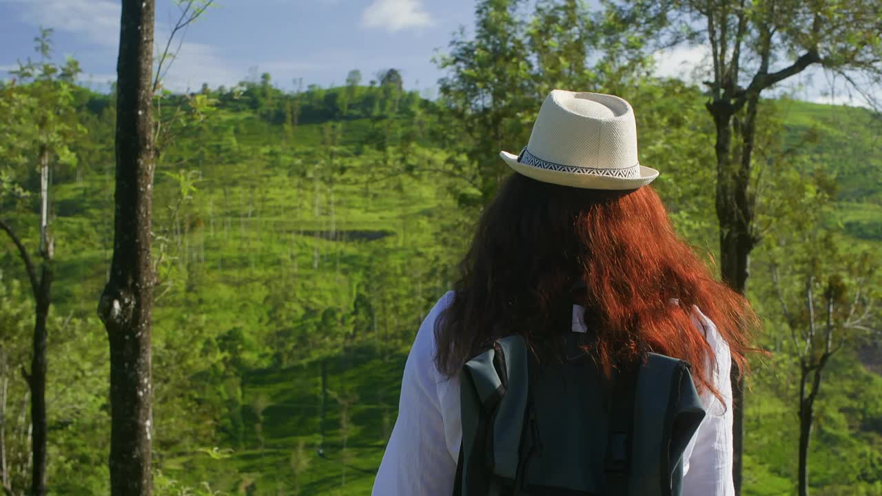 徒步旅行者在夏天看绿色景观的后视图视频素材