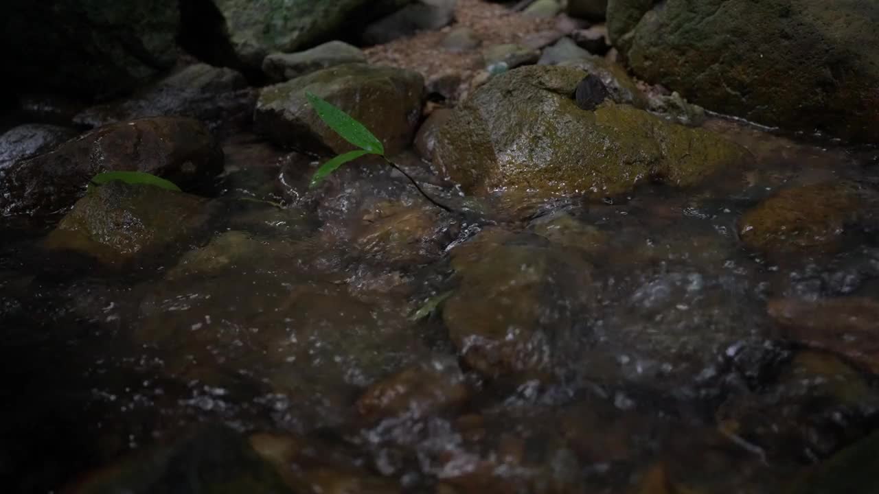 低角度拍摄，亚洲老人徒步探险。慢镜头视频素材