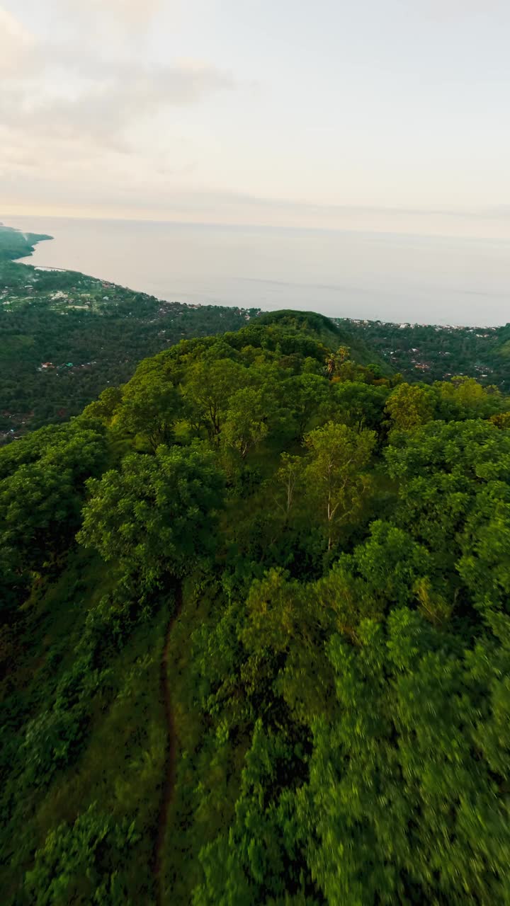 垂直视频。空中俯冲看速度飞行山岭绿色植物海洋视频素材