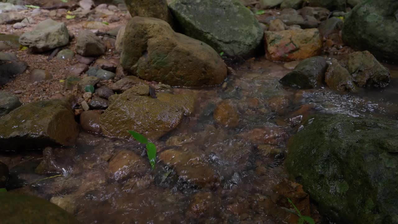 低角度拍摄，亚洲老人徒步探险。慢镜头视频素材