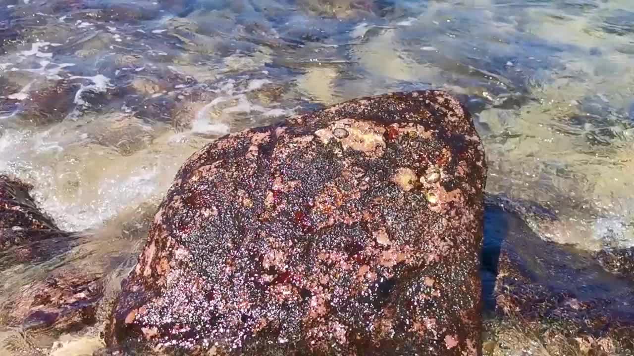 海滩沙滩蓝色绿松石水波浪岩石全景埃斯孔迪多港。视频素材