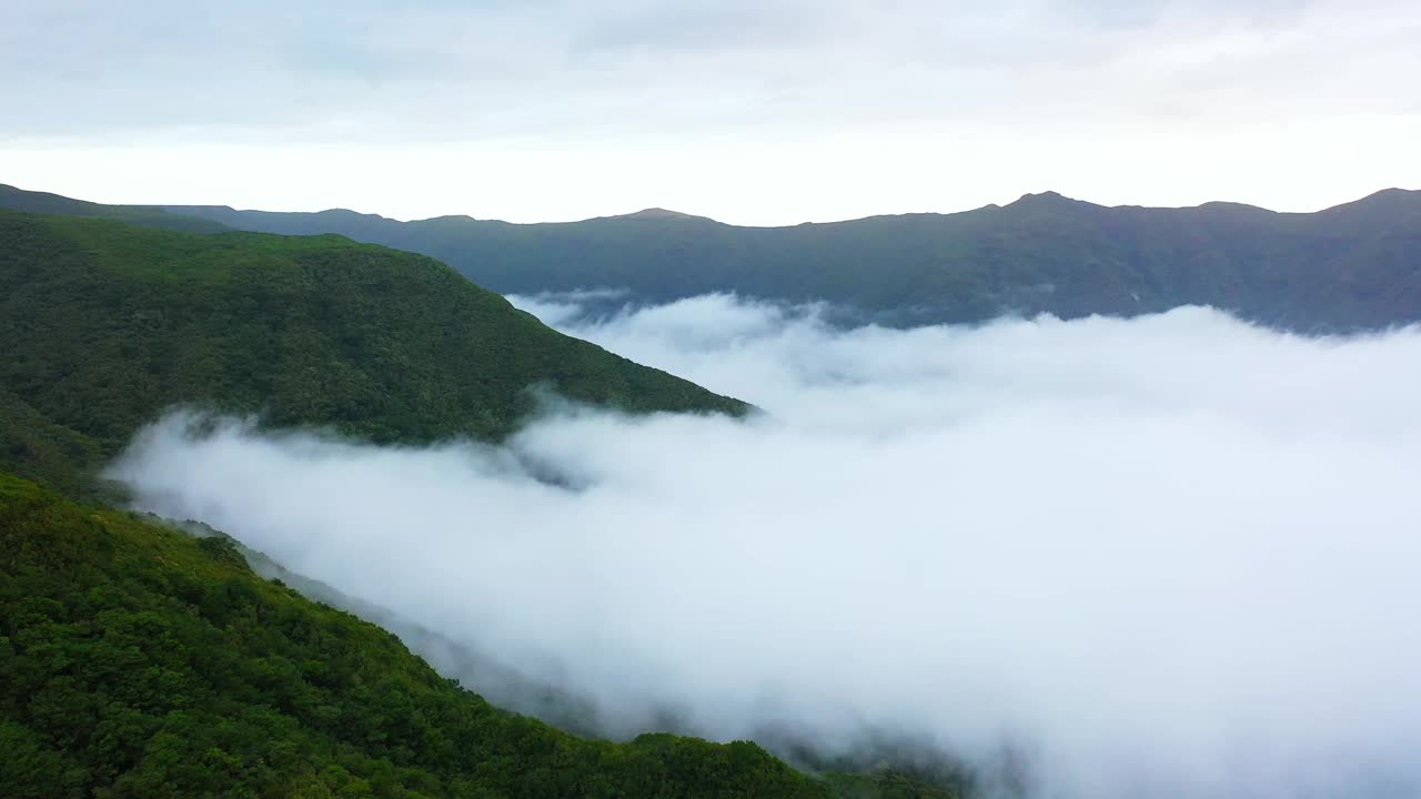 空中无人机拍摄的云覆盖在马德拉的绿色山脉视频素材