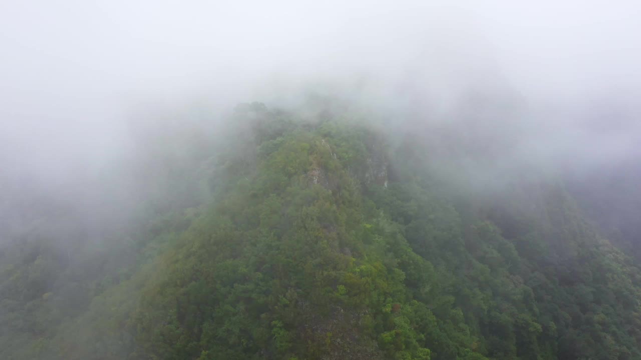 葡萄牙马德拉岛，热带风景如画的绿山山谷和小镇的空中无人机视图视频素材