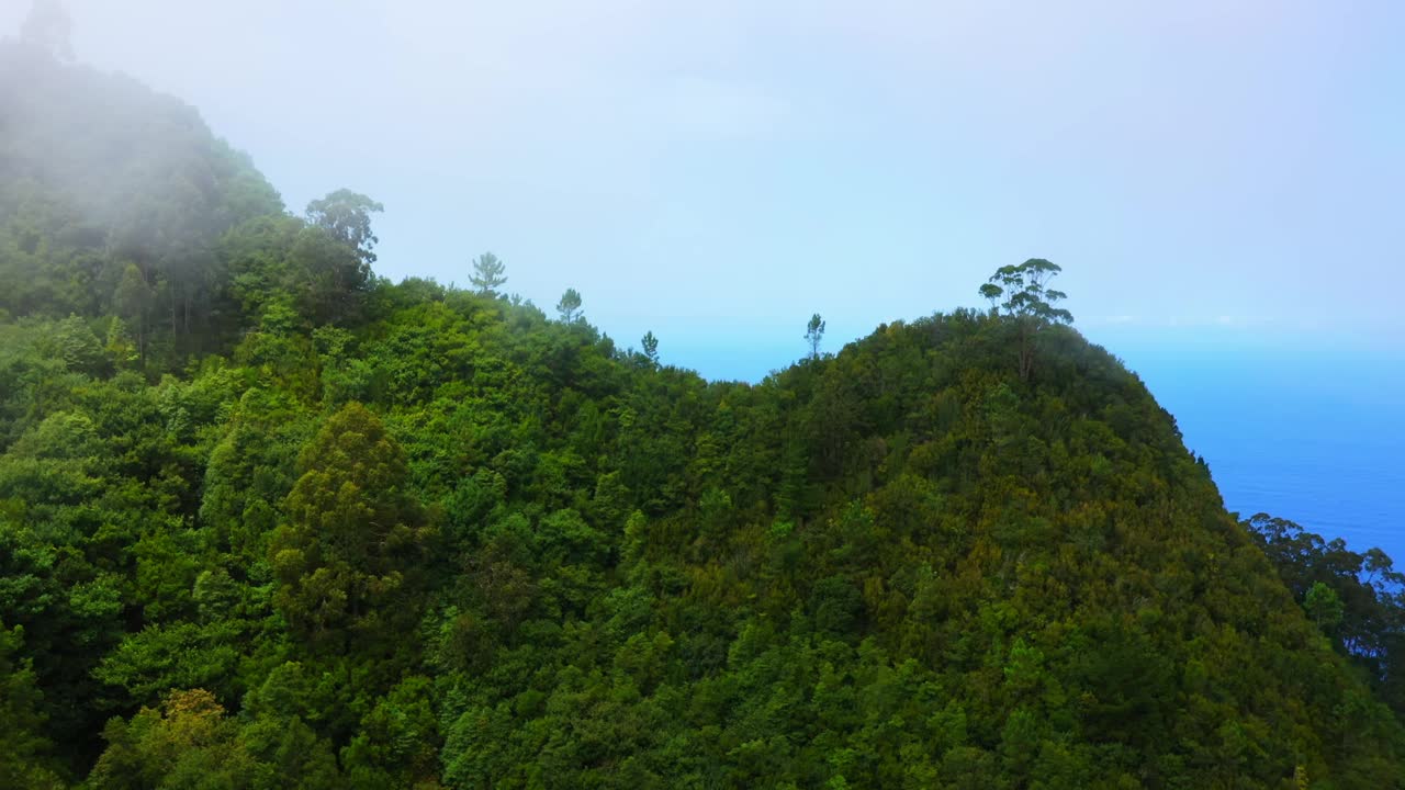 马德拉岛美丽的自然绿色森林和城市景观鸟瞰图视频素材